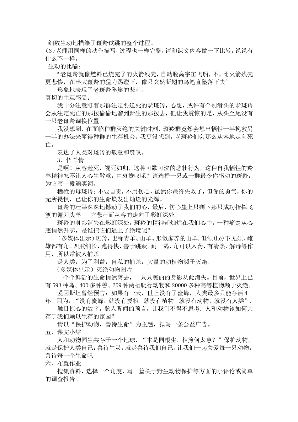 斑羚飞度教案_第3页