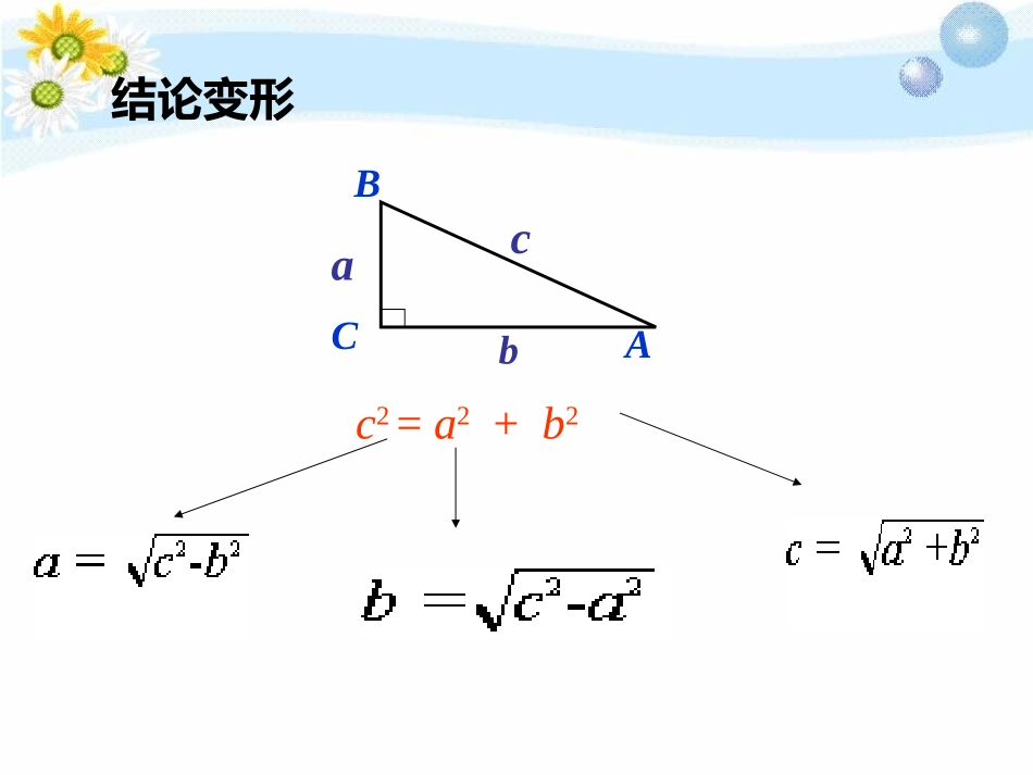 g勾股定理第三课时_第2页