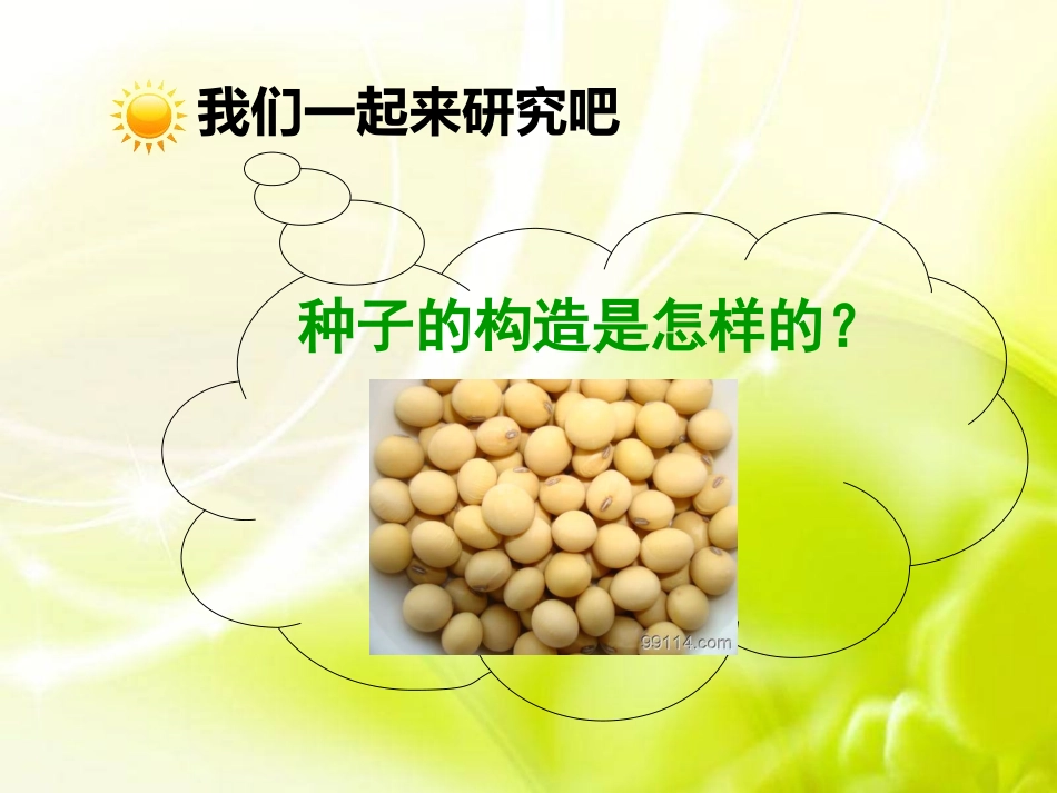 种子发芽实验二_第3页