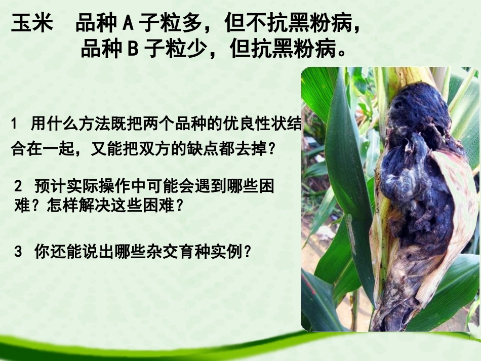 杂交育种与诱变育种._第3页