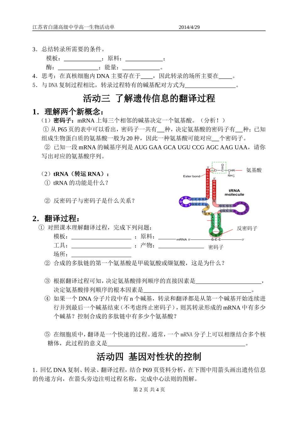 第4章基因的表达_第2页
