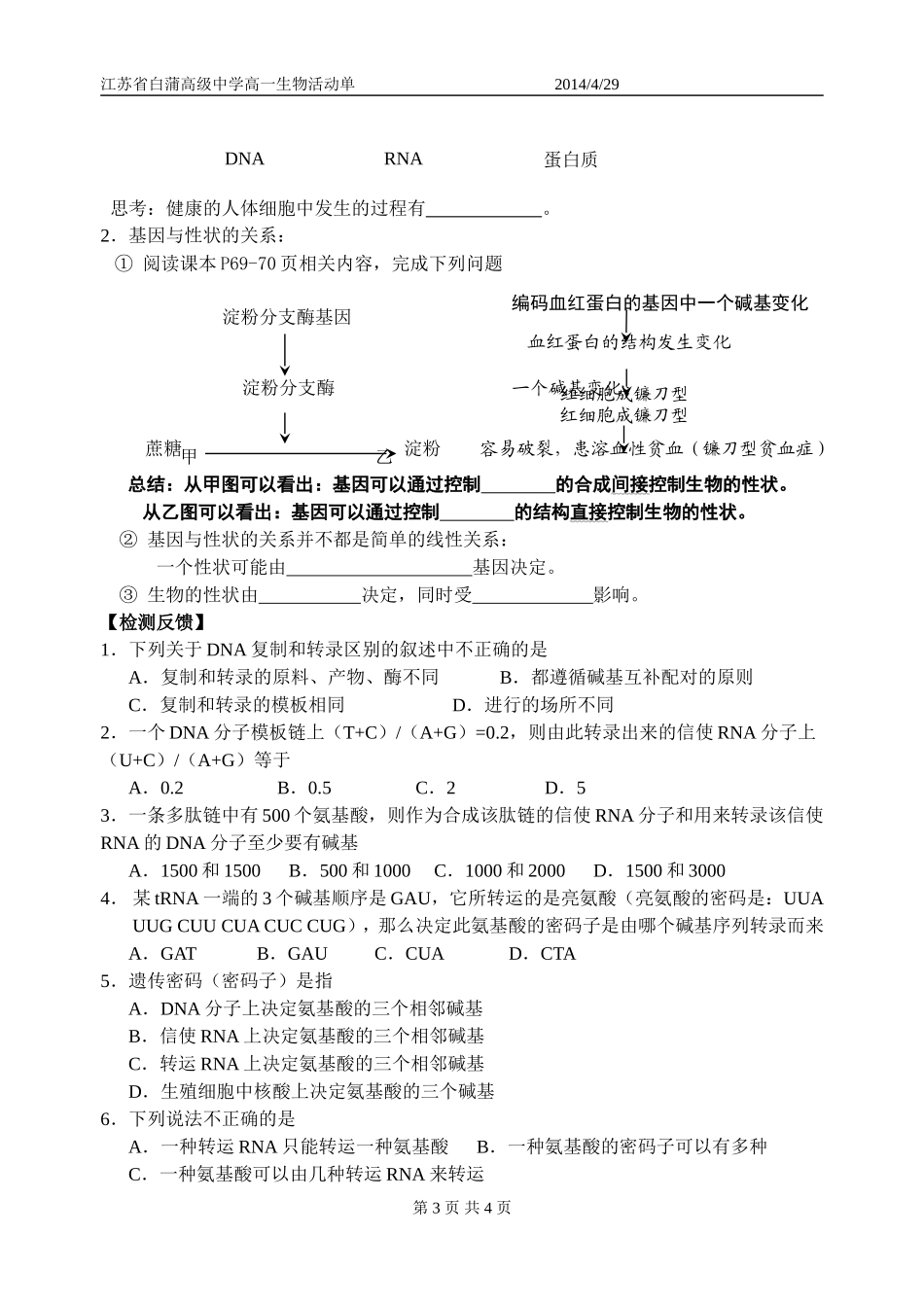 第4章基因的表达_第3页