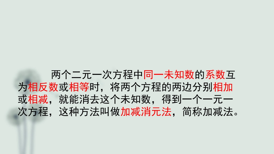 加减法解二元一次方程组-(4)_第3页
