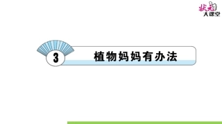 3-植物妈妈有办法