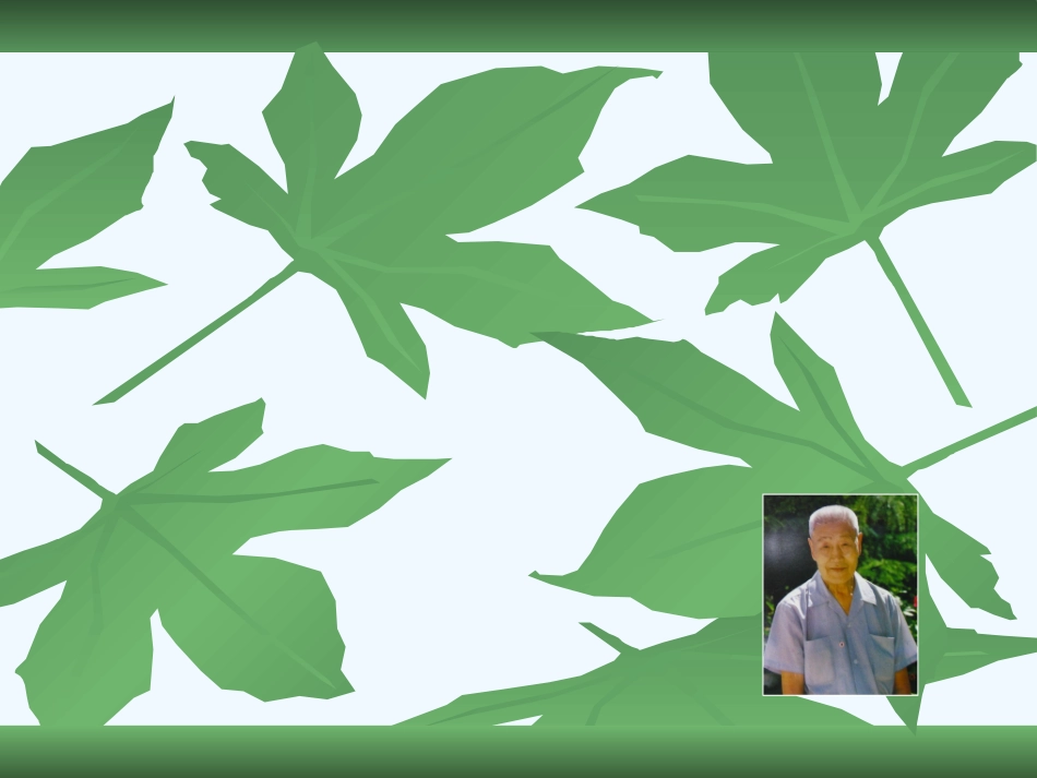 (部编)初中语文人教2011课标版七年级下册叶圣陶先生二三事课件-(2)_第1页