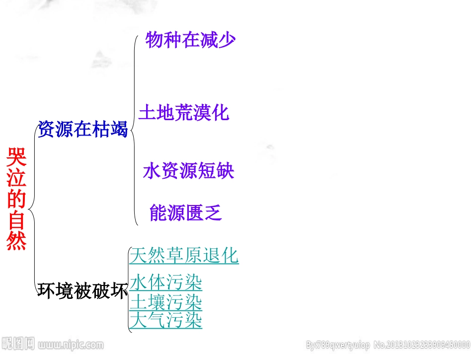 第一课人类的朋友-(2)_第1页