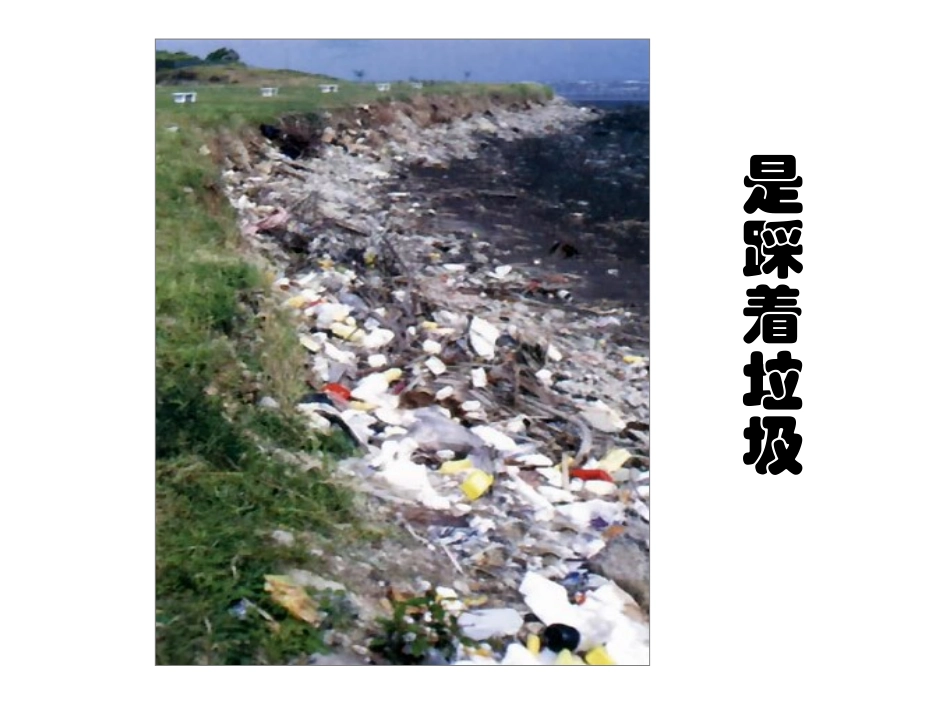 第一课人类的朋友-(2)_第2页