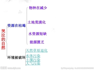 第一课人类的朋友-(2)