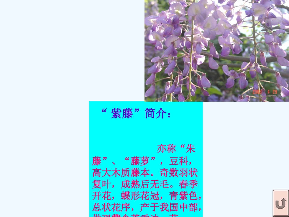 (部编)初中语文人教2011课标版七年级下册kejian-2_第2页