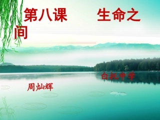 生命之间赛课