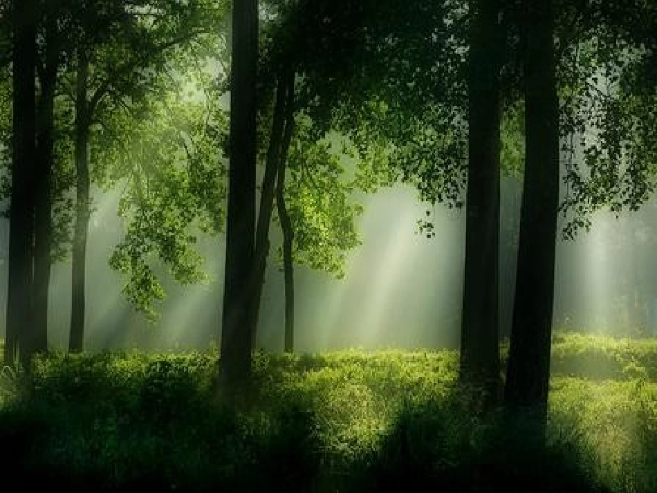 26【红领巾真好】--课件_第2页