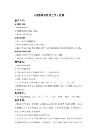 《我善养吾浩然之气》教案3