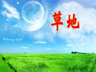 2、金色的草地