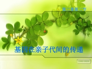基因在亲子代间的传递