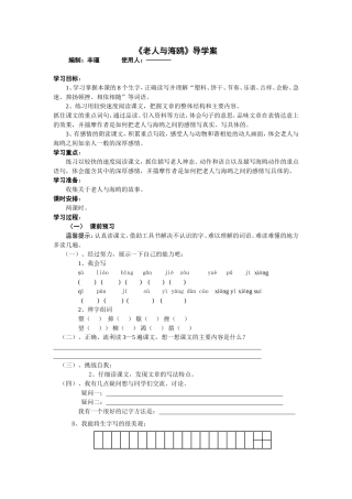 《老人与海鸥》导学案