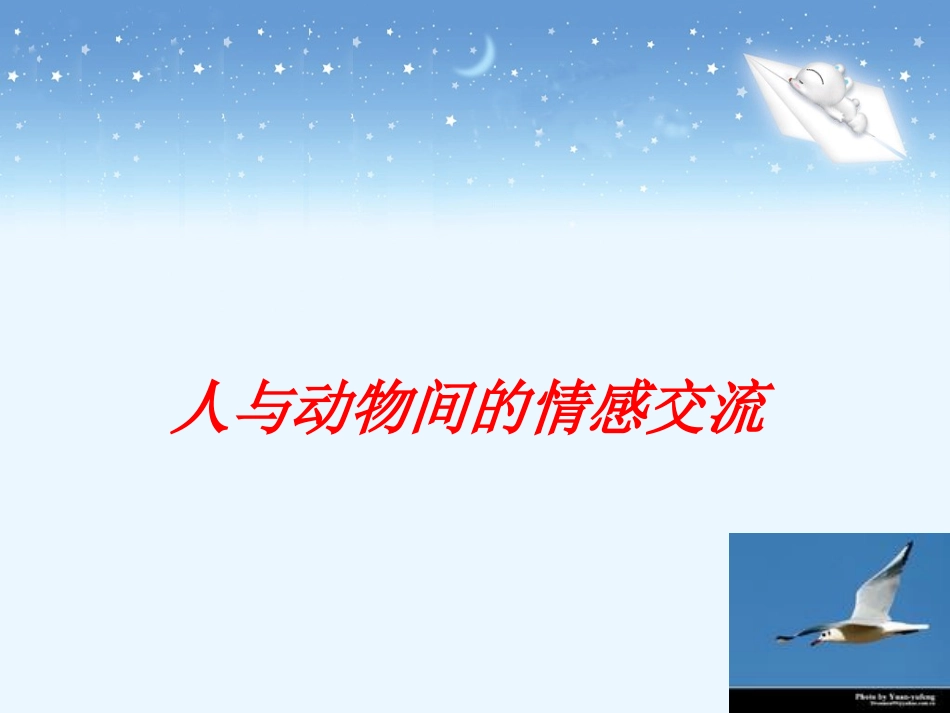 《老人与海鸥》优质参考课件_第1页