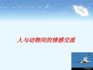 《老人与海鸥》优质参考课件