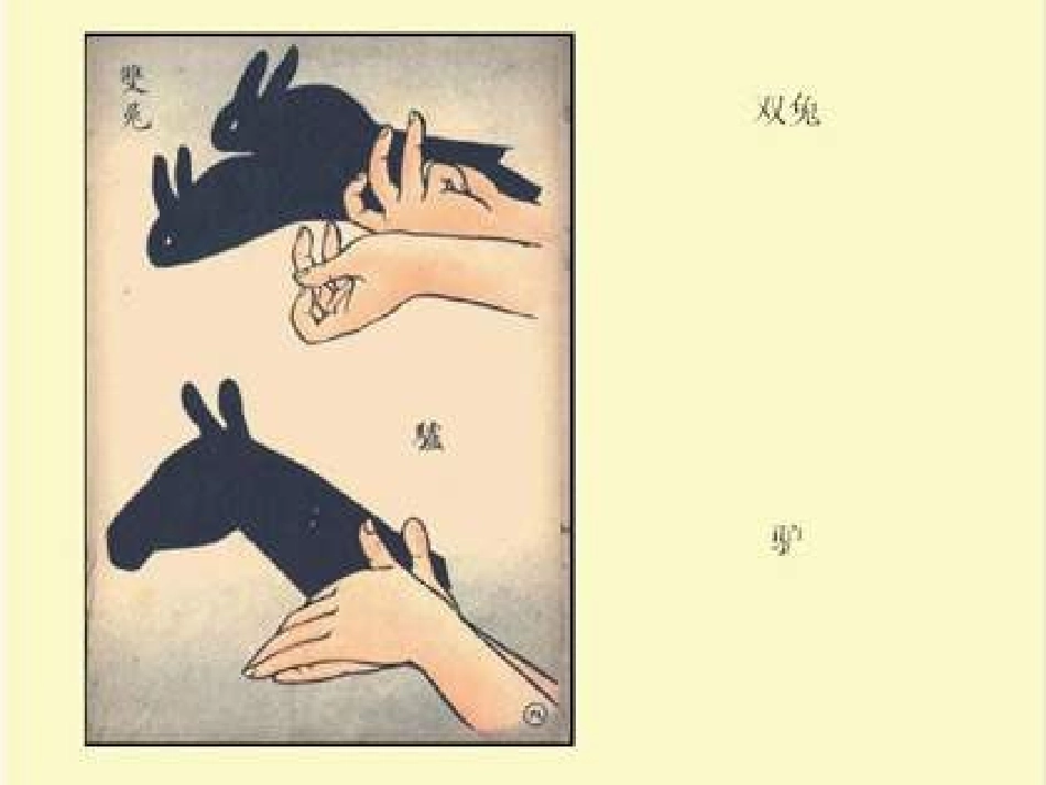 青岛版小学科学课件三下《太阳和影子》_第2页