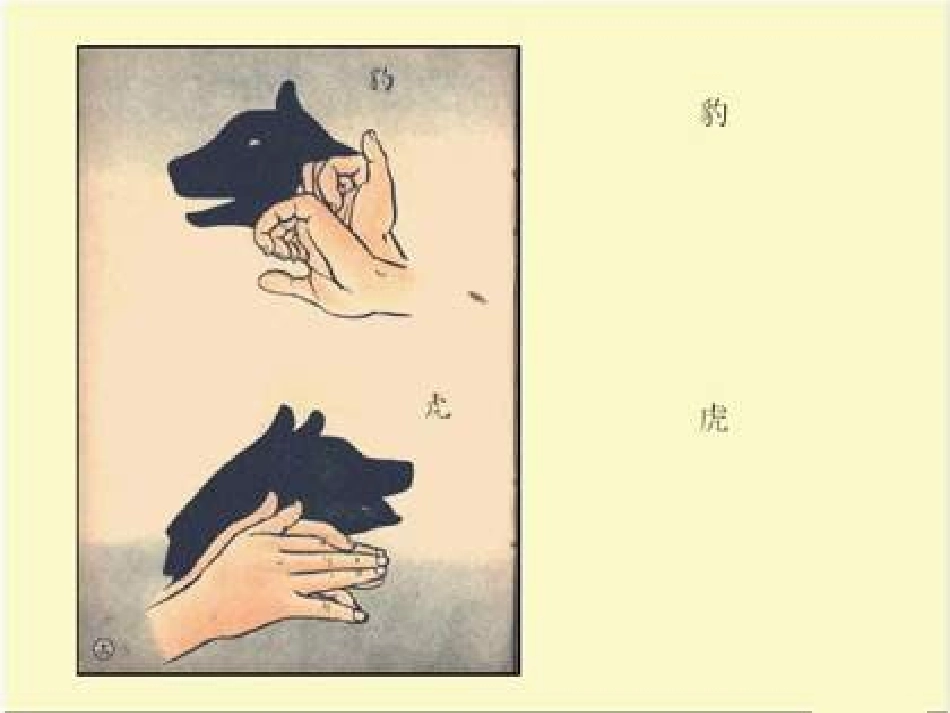 青岛版小学科学课件三下《太阳和影子》_第3页