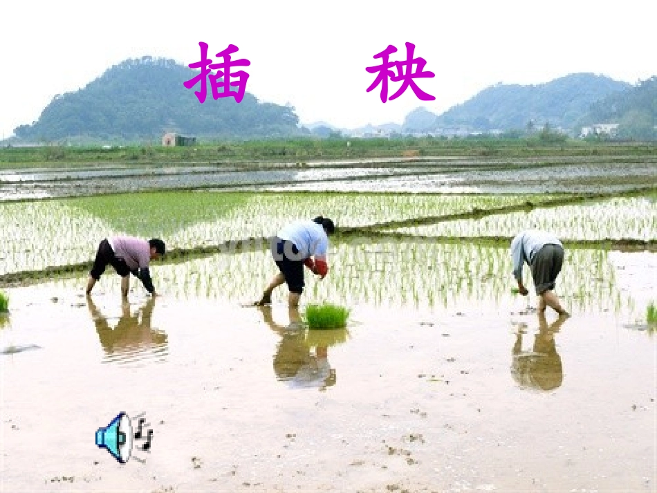课件-插秧1_第1页