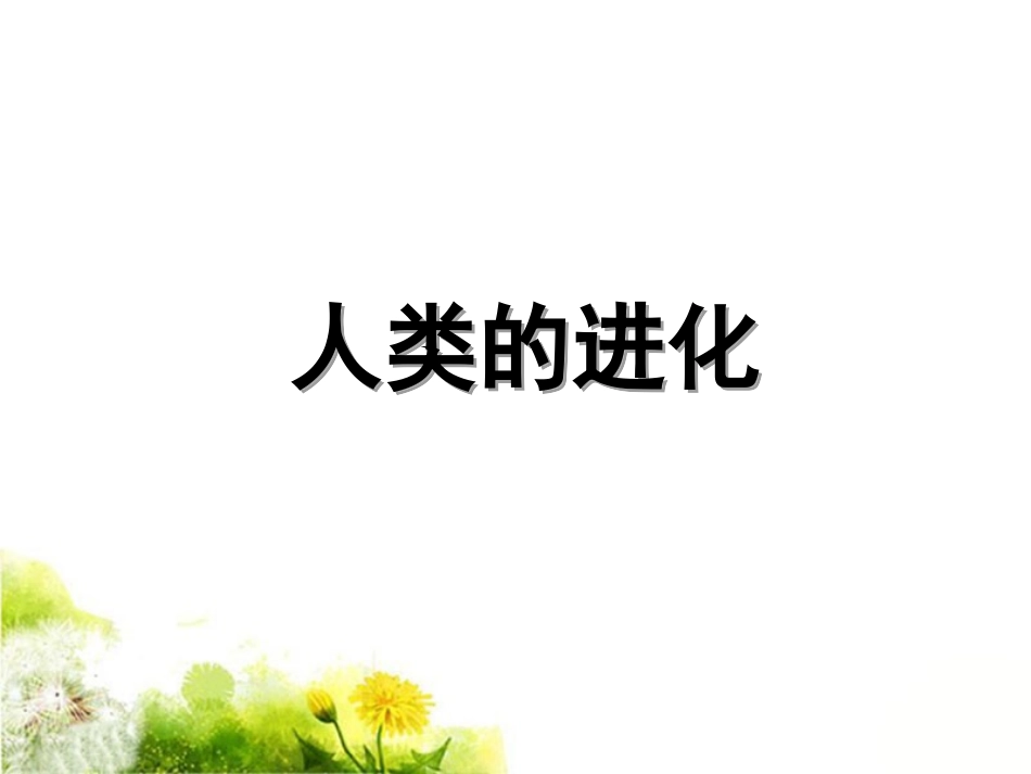 《人类的进化》课件2_第1页