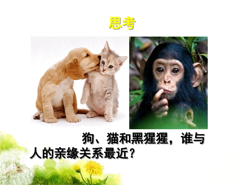 《人类的进化》课件2_第3页