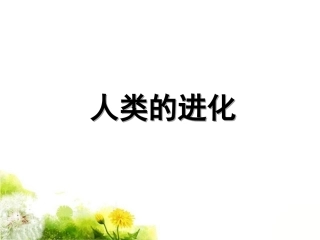 《人类的进化》课件2