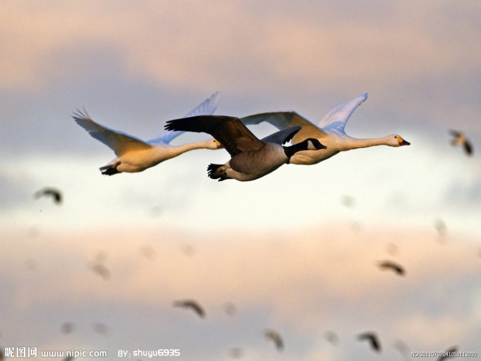 秋姑娘的信张梅霞_第3页
