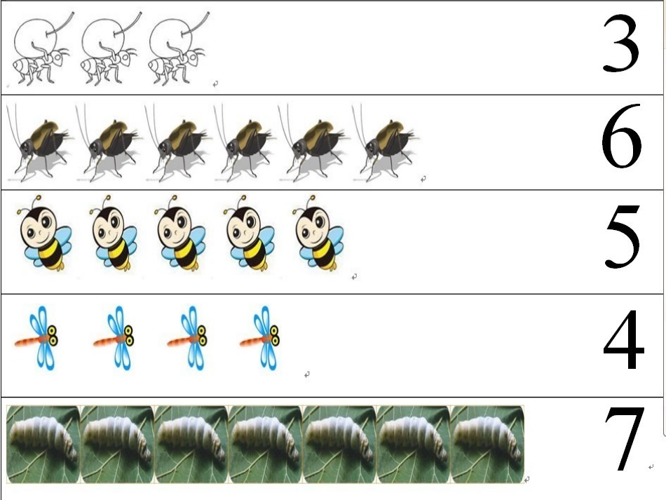数学：昆虫聚会_第2页