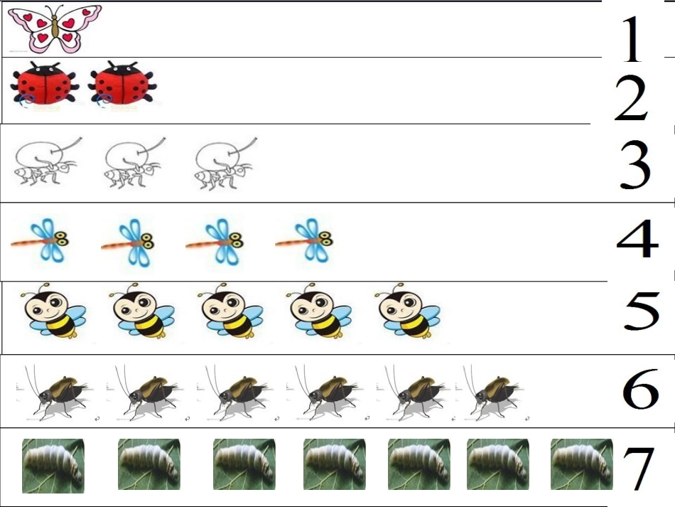 数学：昆虫聚会_第3页