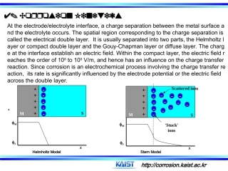 Corrosion-Kinetics