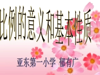 比例的意义和基本性质(1)