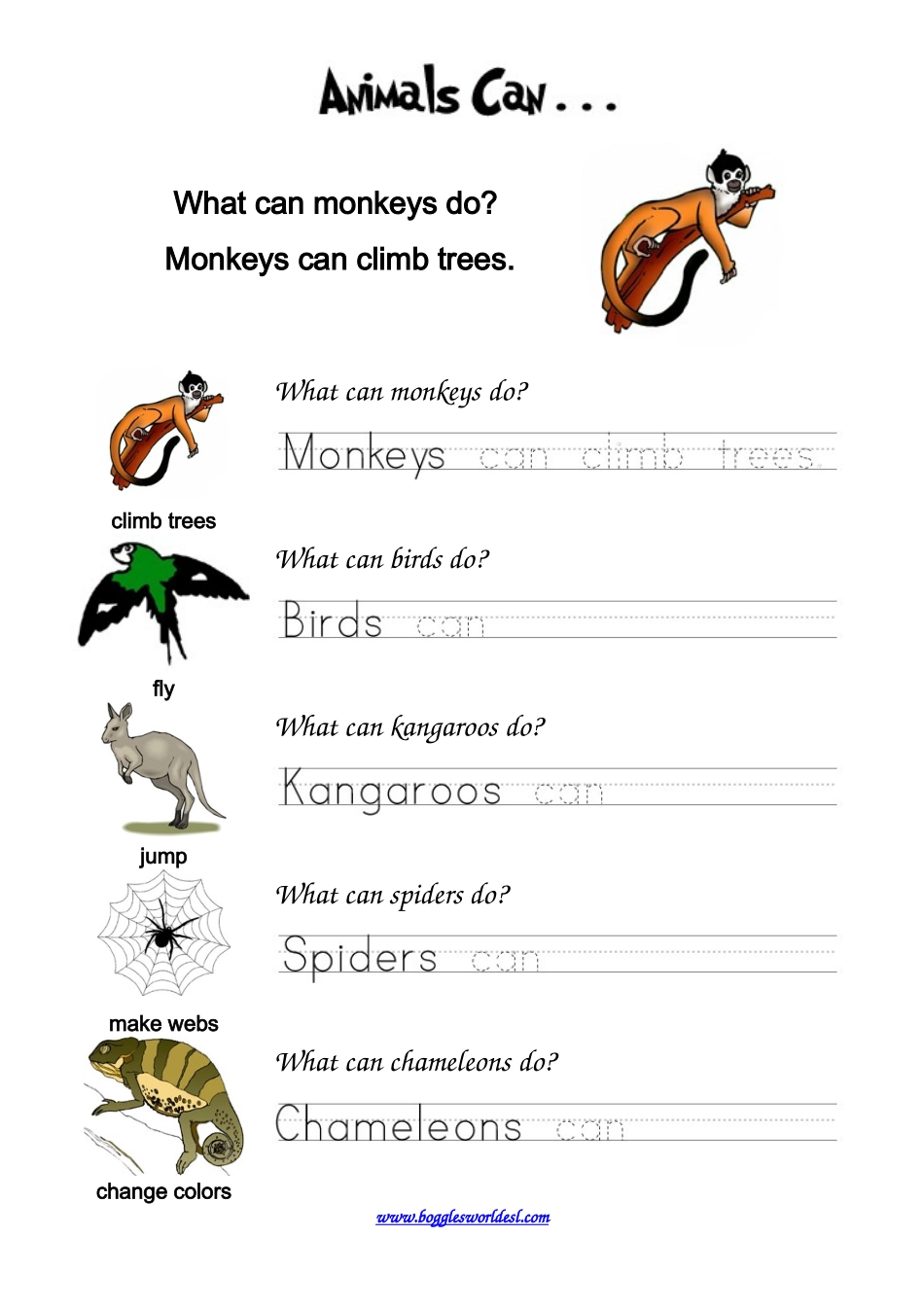 animalscan_第1页