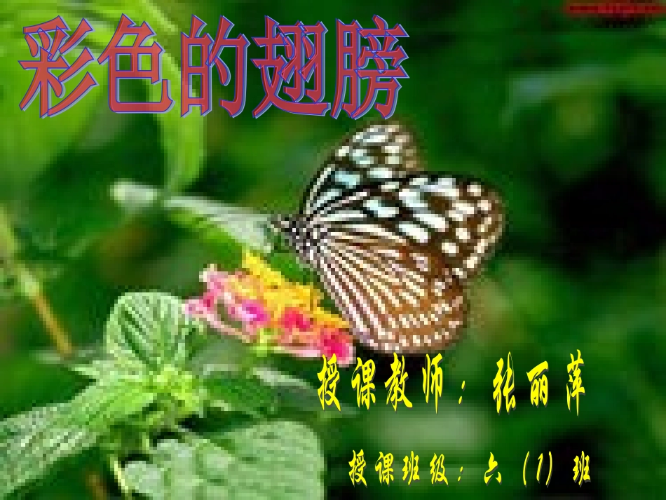 彩色的翅膀1_第1页