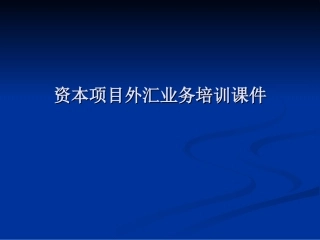资本项目外汇业务培训课件