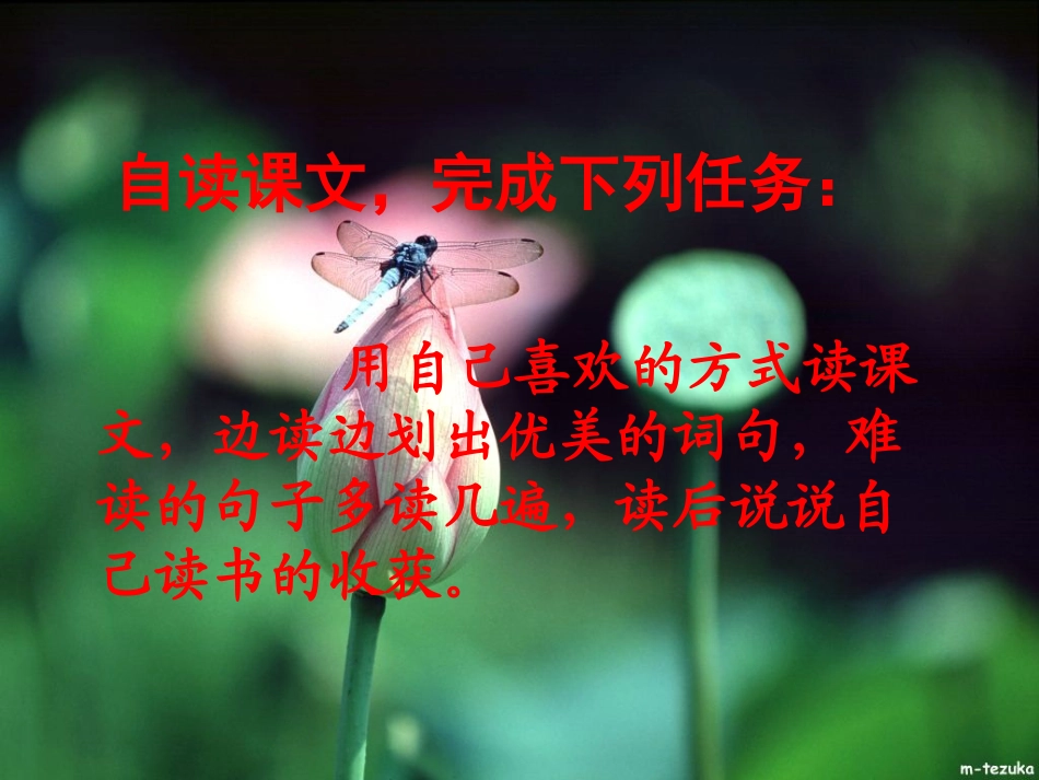 自己的花是让别人看的0410._第3页