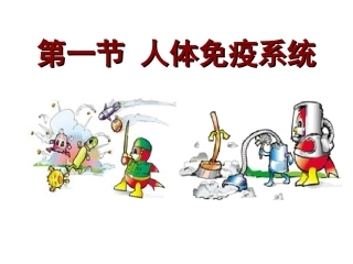 4.1人体免疫系统