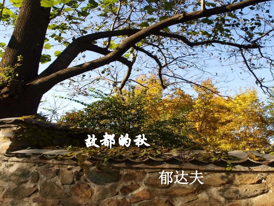 故都的秋课件.ppt修改_第1页