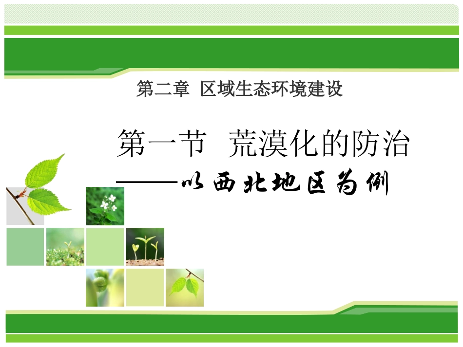 荒漠化的防治_第1页