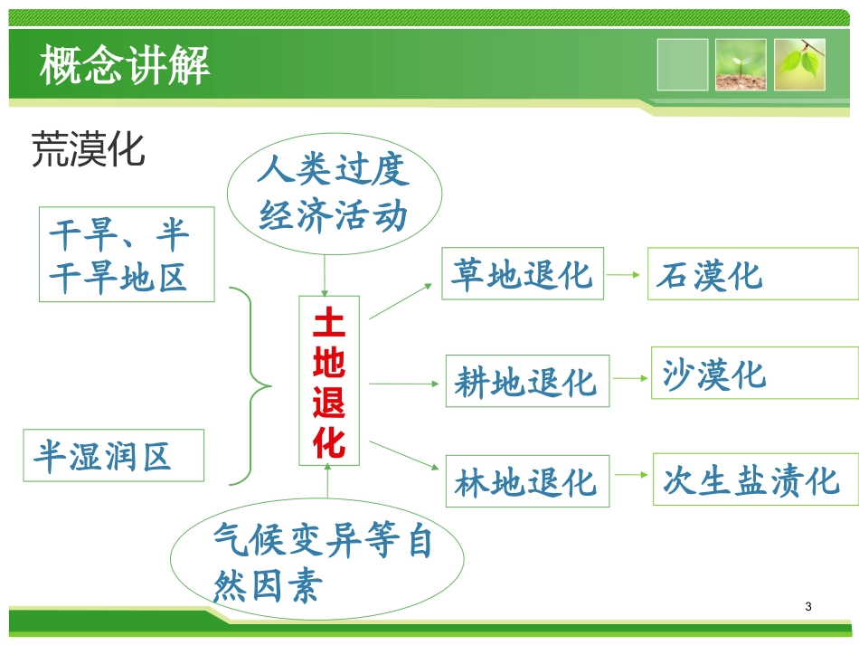 荒漠化的防治_第3页