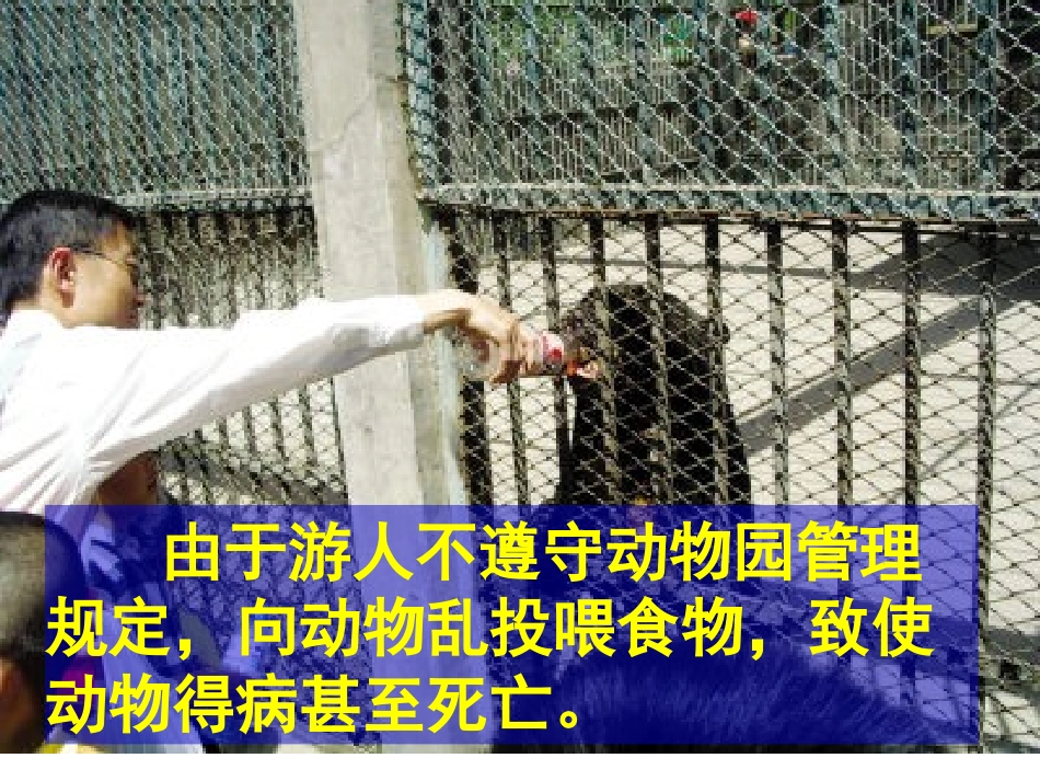 《谁说没有规则》课件(2)_第3页