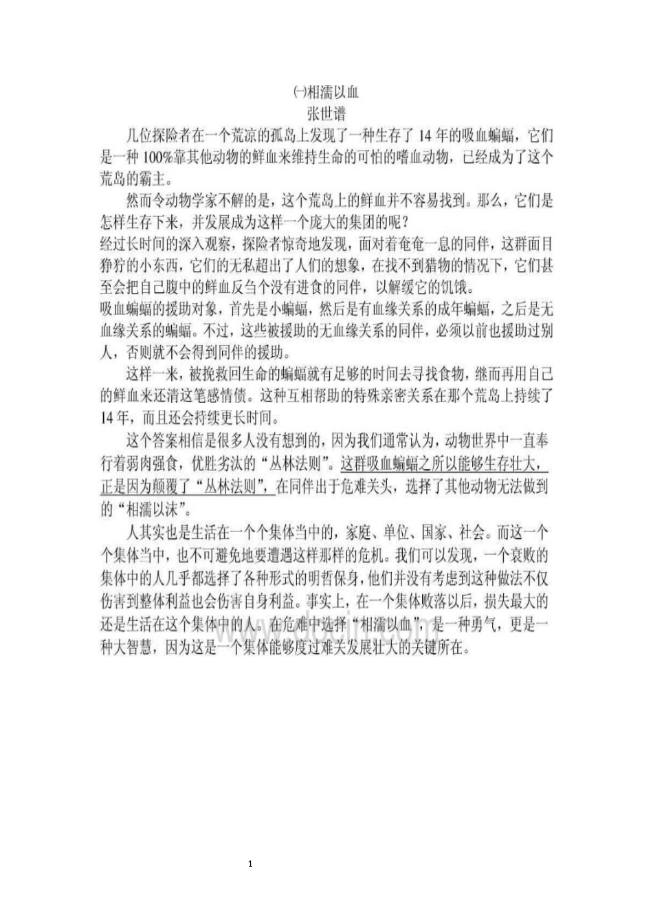 阅读理解课件_第1页