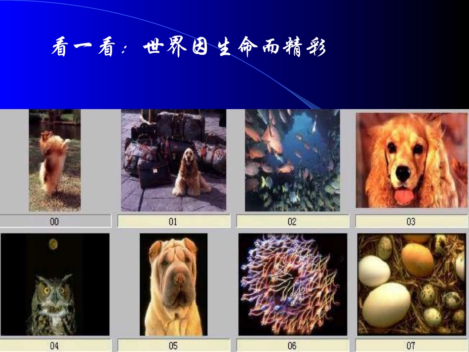 世界因生命而精彩_第2页