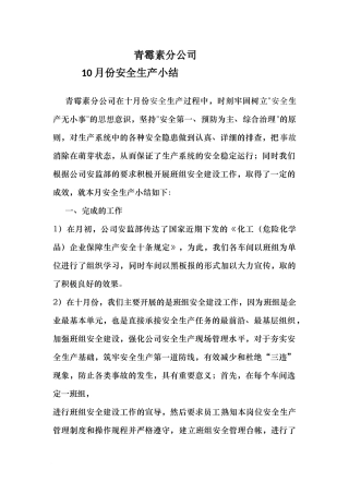 青霉素分公司10月份安全生产小结