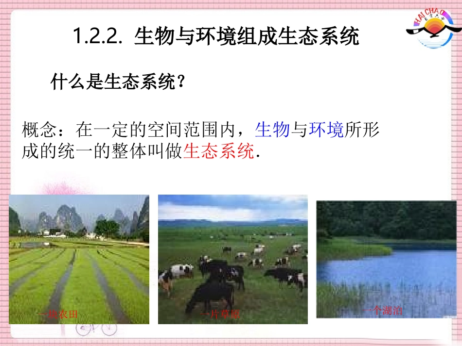 1-2-2.生物与环境组成生态系统_第1页