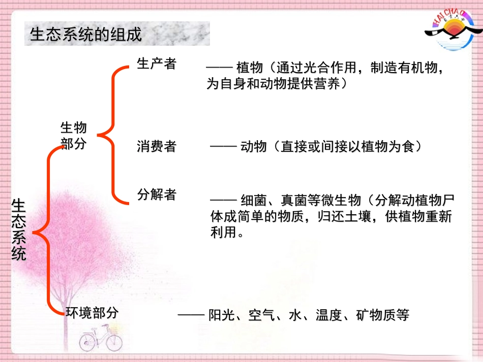 1-2-2.生物与环境组成生态系统_第2页