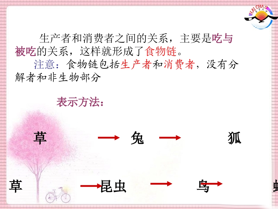 1-2-2.生物与环境组成生态系统_第3页