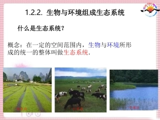 1-2-2.生物与环境组成生态系统