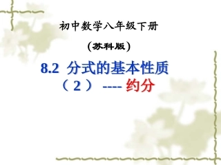 8.2分式的基本性质(2)