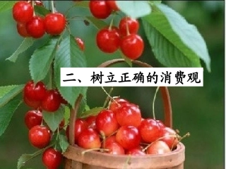 树立正确的消费观